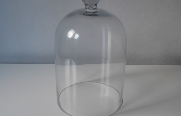 Glass Dome Bell Jar Cloche